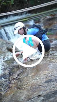 BIB:  <button type="button" onclick="openModal(27742157)" class="btn btn-primary btn-sm float-right" data-toggle="modal" data-target=".modal-high-quality">
                <i class="fa fa-download"></i> Download
                </button>